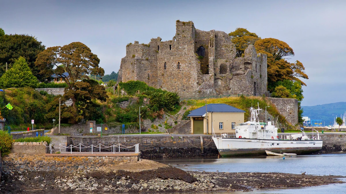The Freedom of a Carlingford Getaway: Why Self-Catering is the Perfect Choice in Carlingford
