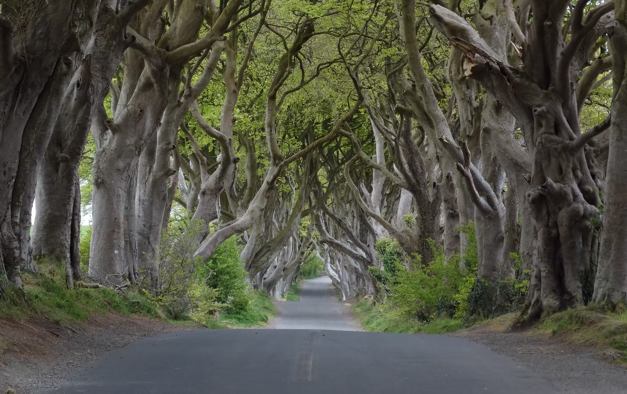 Game of Thrones locations near Belfast, a fan's day