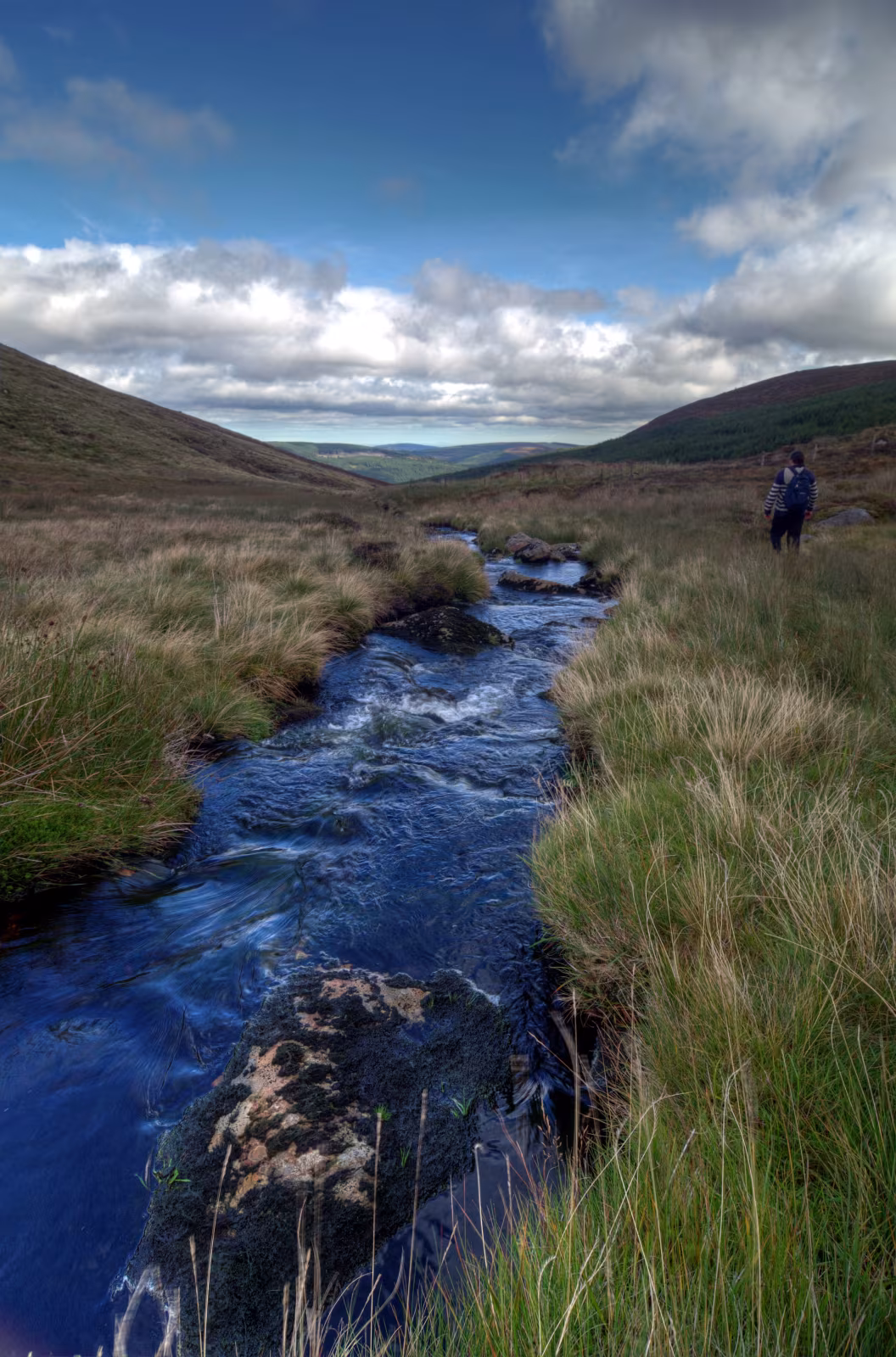 The Carrawaystick Brook flowing over dark mossy rocks through Glenmalure valley in County Wicklow, trees on both banks