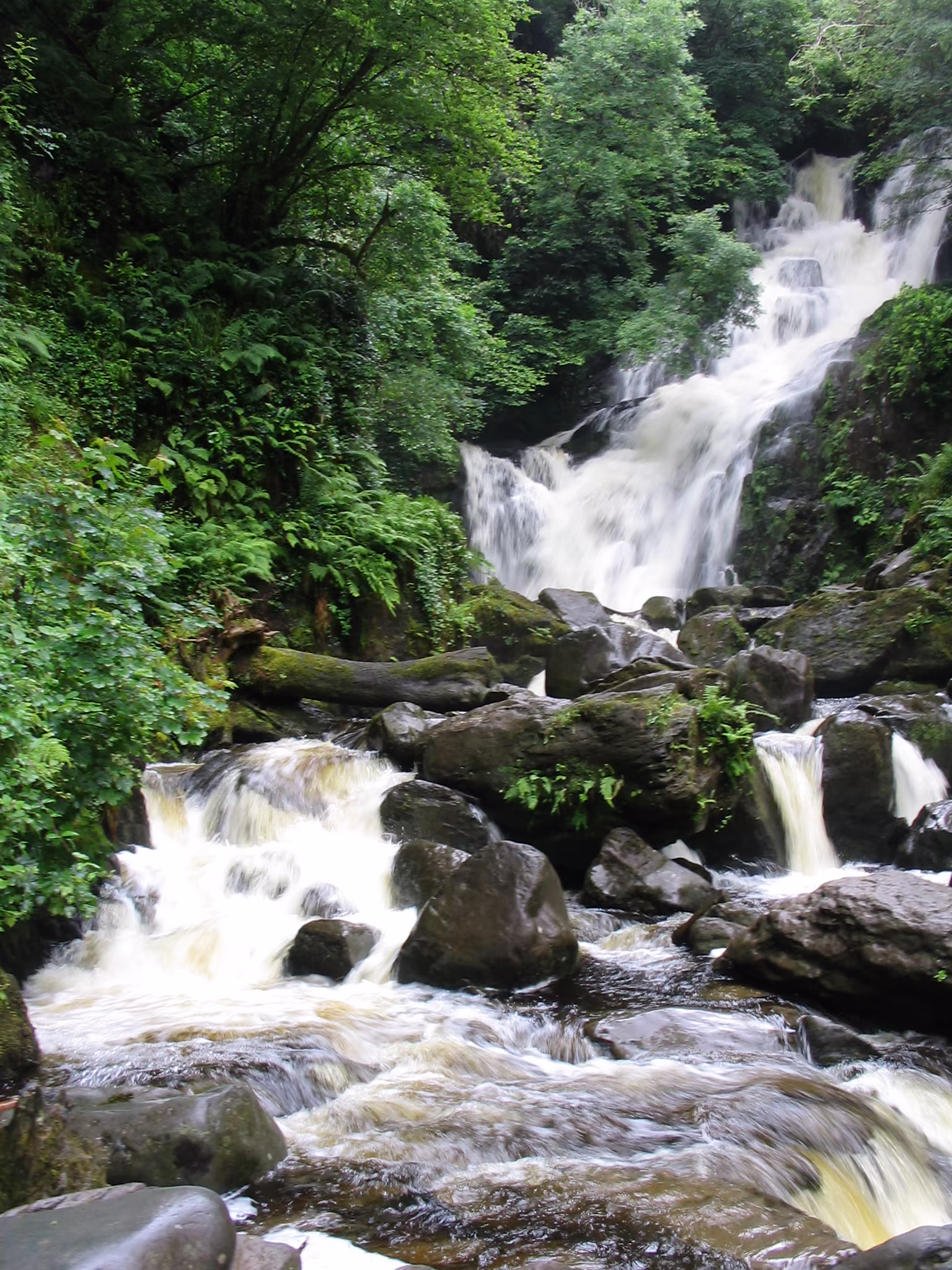 Why Killarney National Park is a national treasure