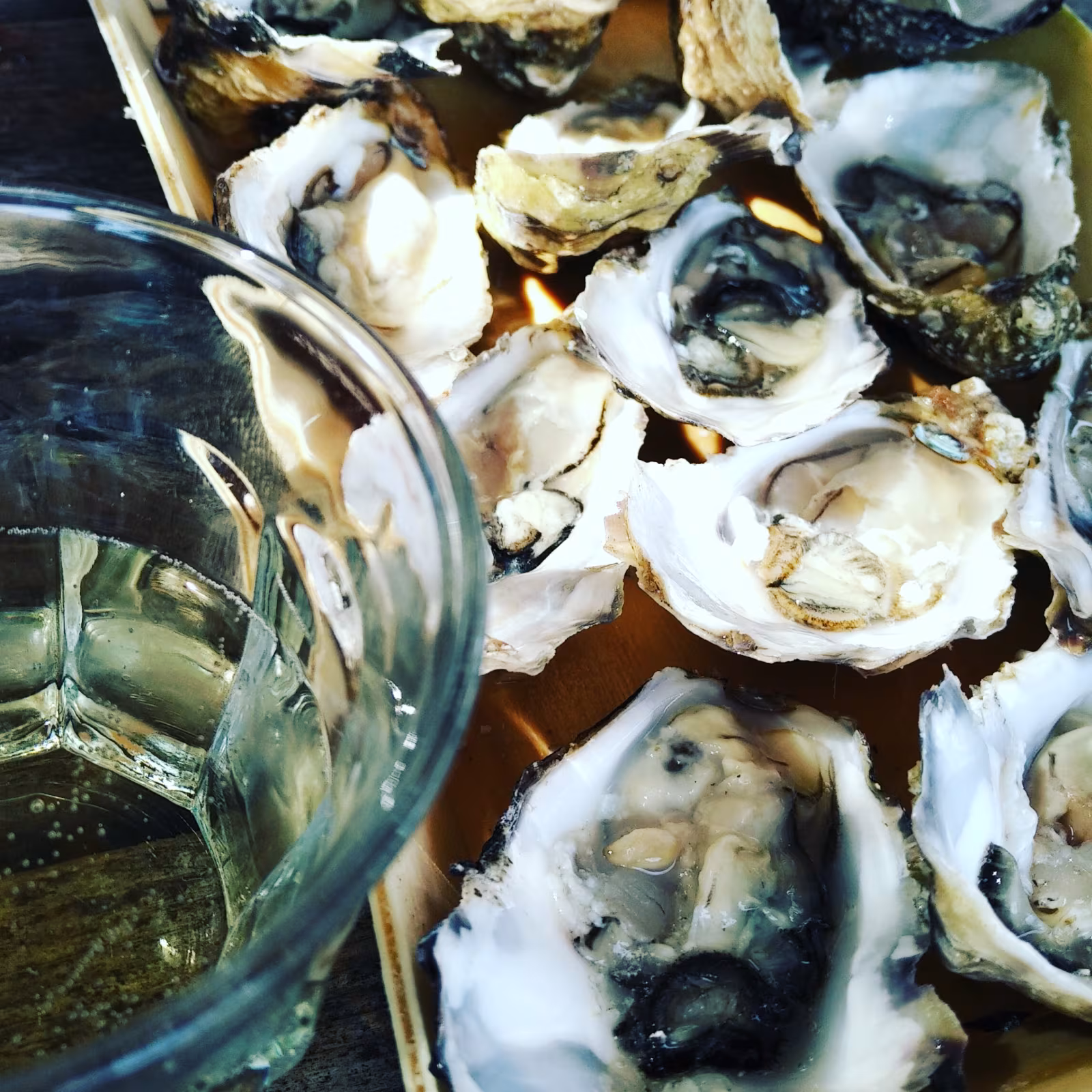 Fresh oysters on a plate, the kind served along the west coast of Ireland in seafood bars and restaurants