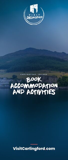 Book accommodation & activities — Roll-up banner